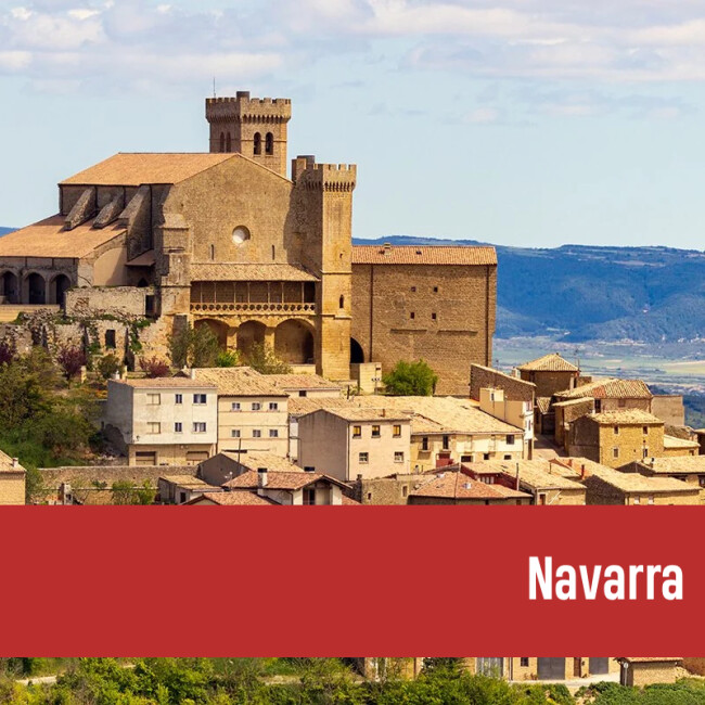 Extranjería Navarra